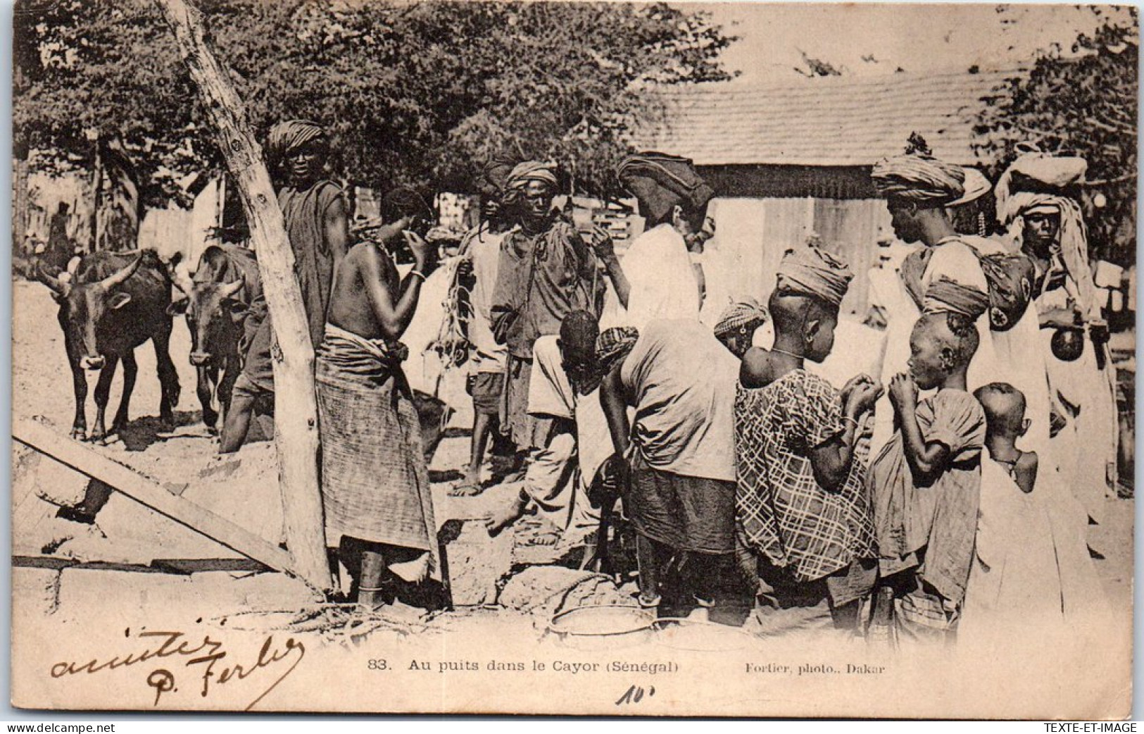 SENEGAL - Au Puits Dans Le Cayor  - Sénégal