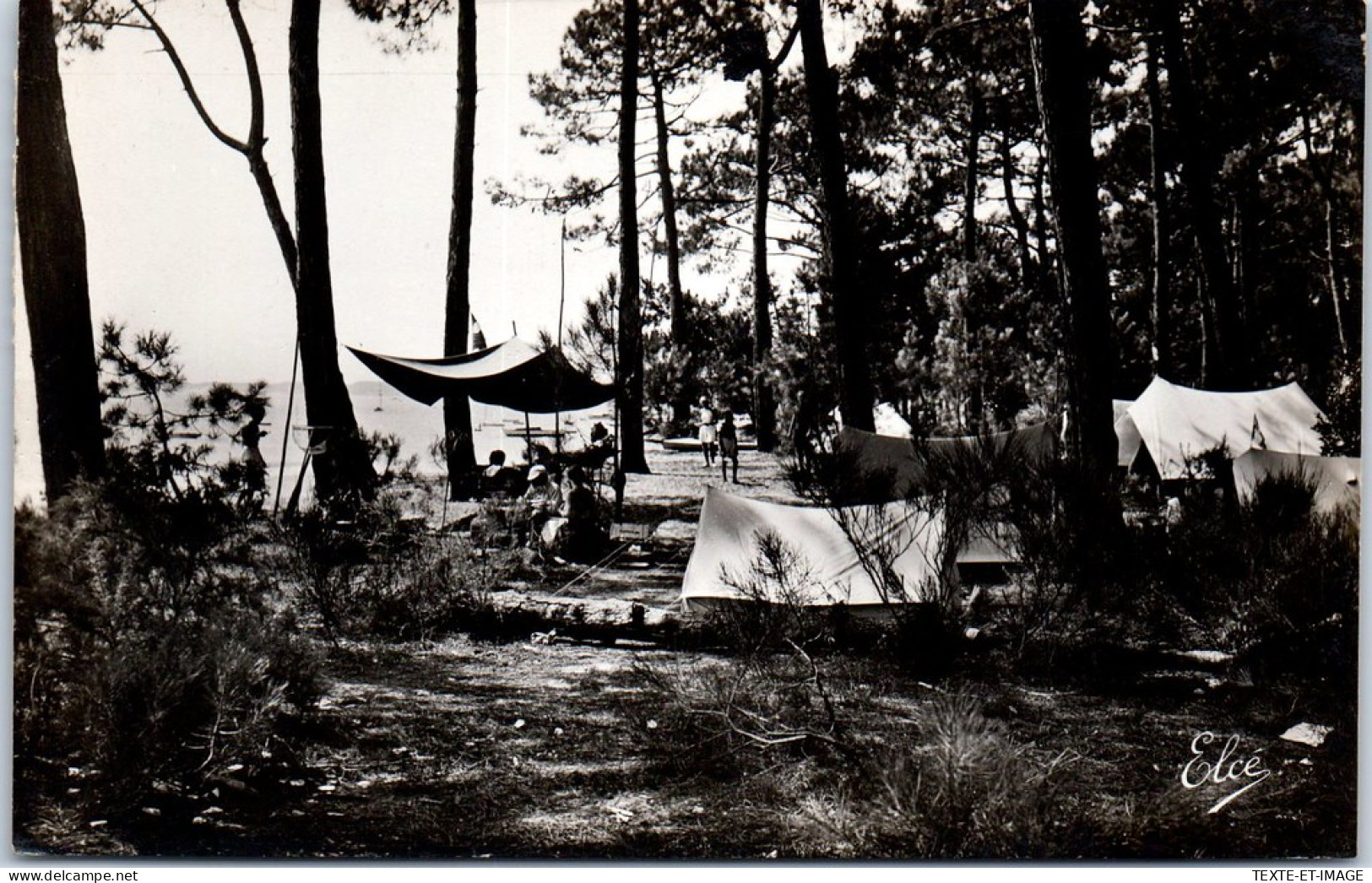 33 BASSIN D'ARCACHON - Camping Dans La Foret  - Autres & Non Classés