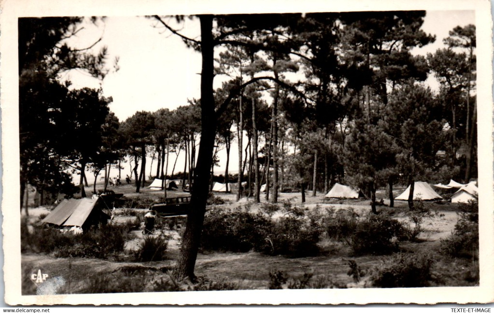 44 SAINT BREVIN - Sous Bois A La Baie Du Pointeau  - Saint-Brevin-l'Océan