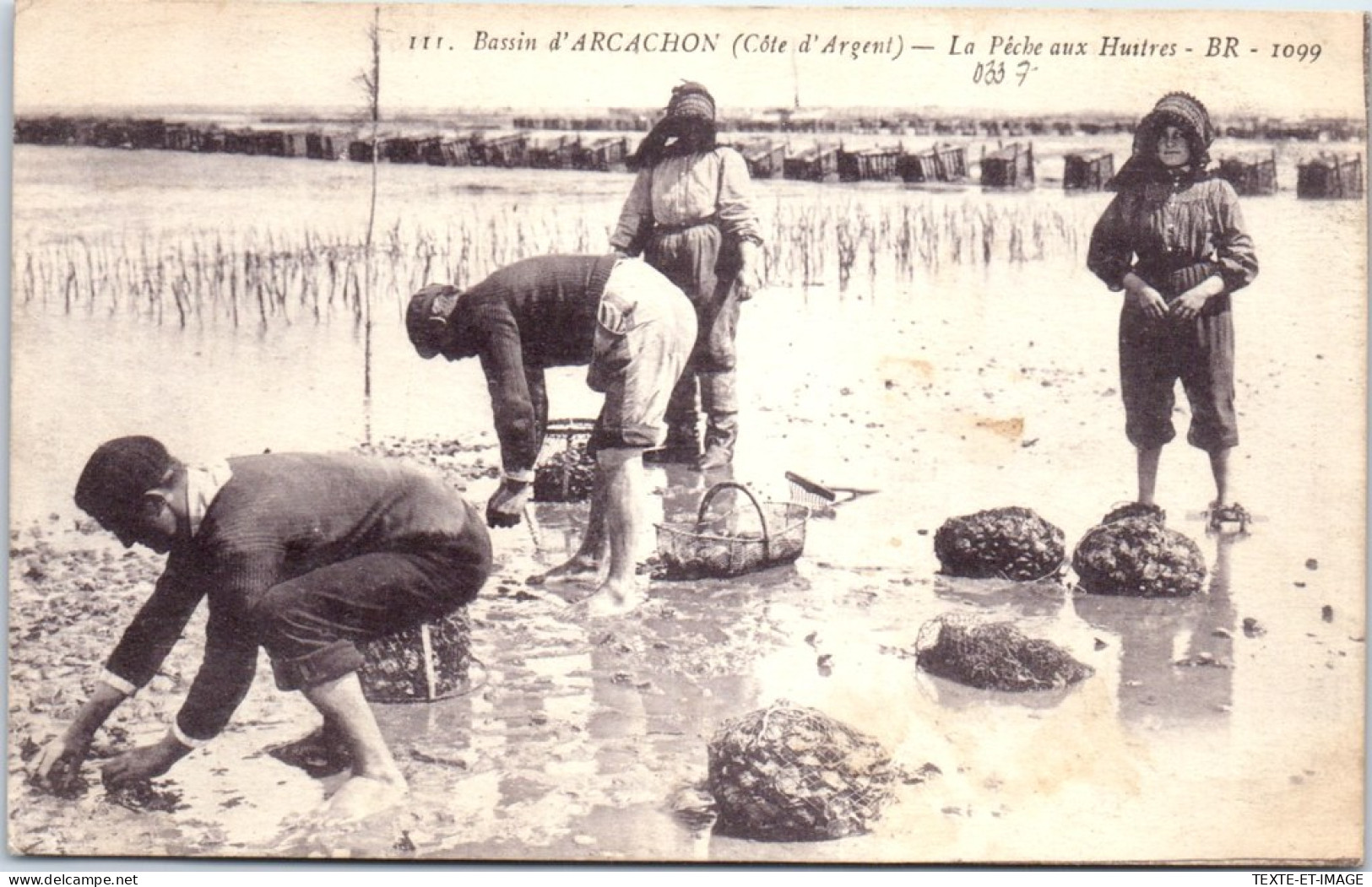 33 ARCACHON - La Peche Aux Huitres Dans Les Parcs  - Arcachon