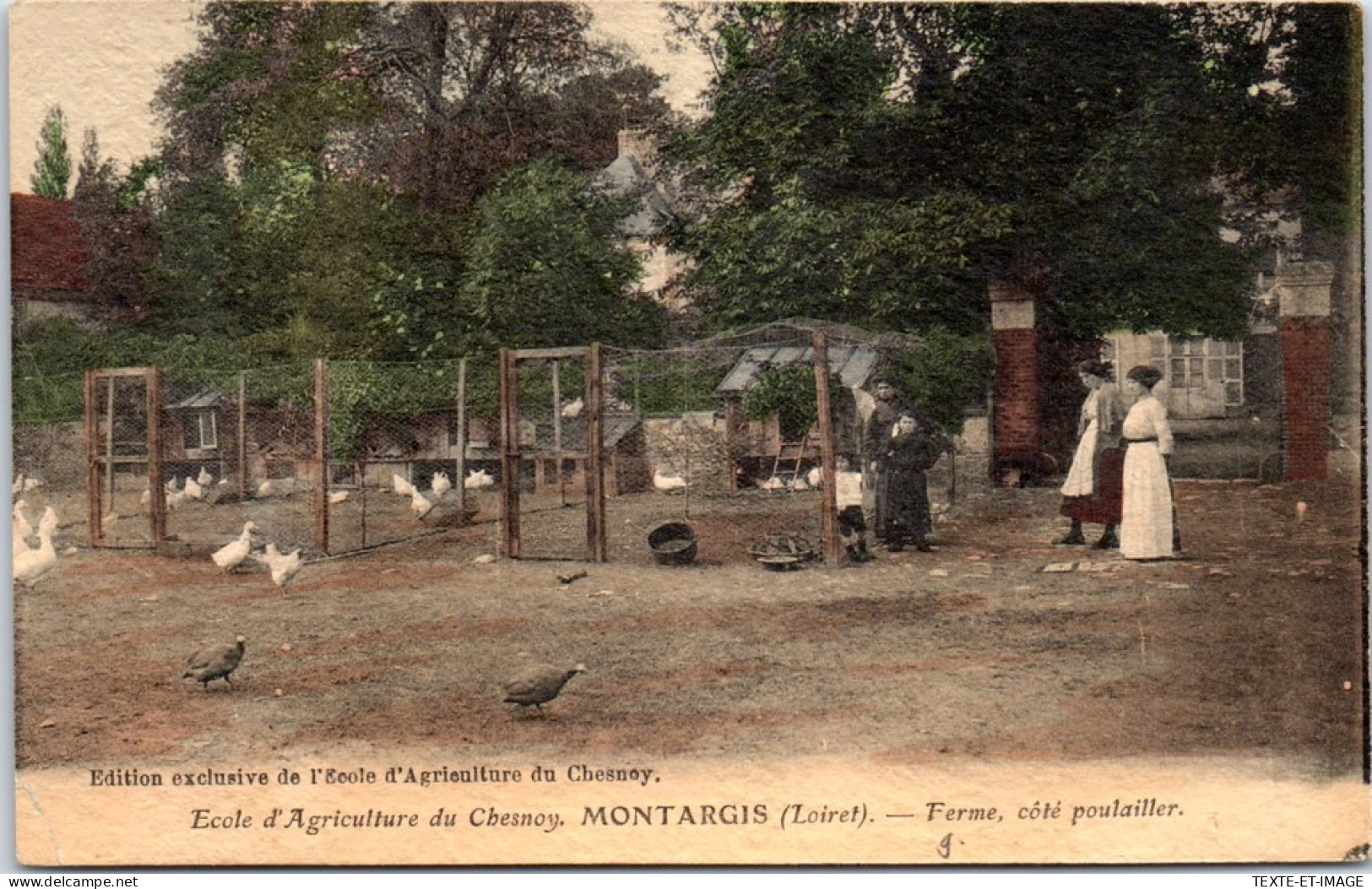 45 MONTARGIS - Ecole Du Chesnoy, Ferme Cote Poulailler - Montargis