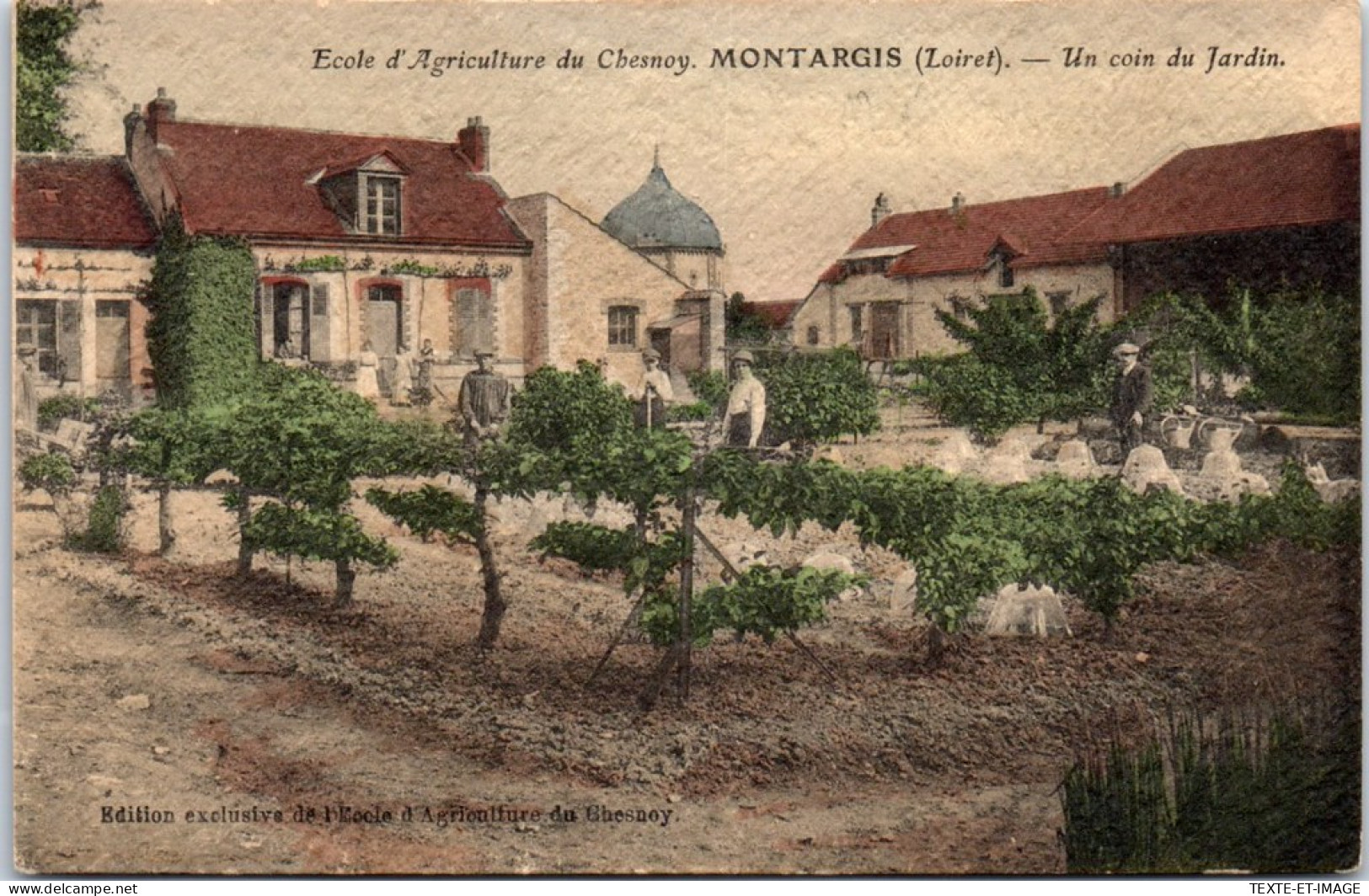 45 MONTARGIS - Ecole D'agriculture, Un Coin Du Jardin  - Montargis