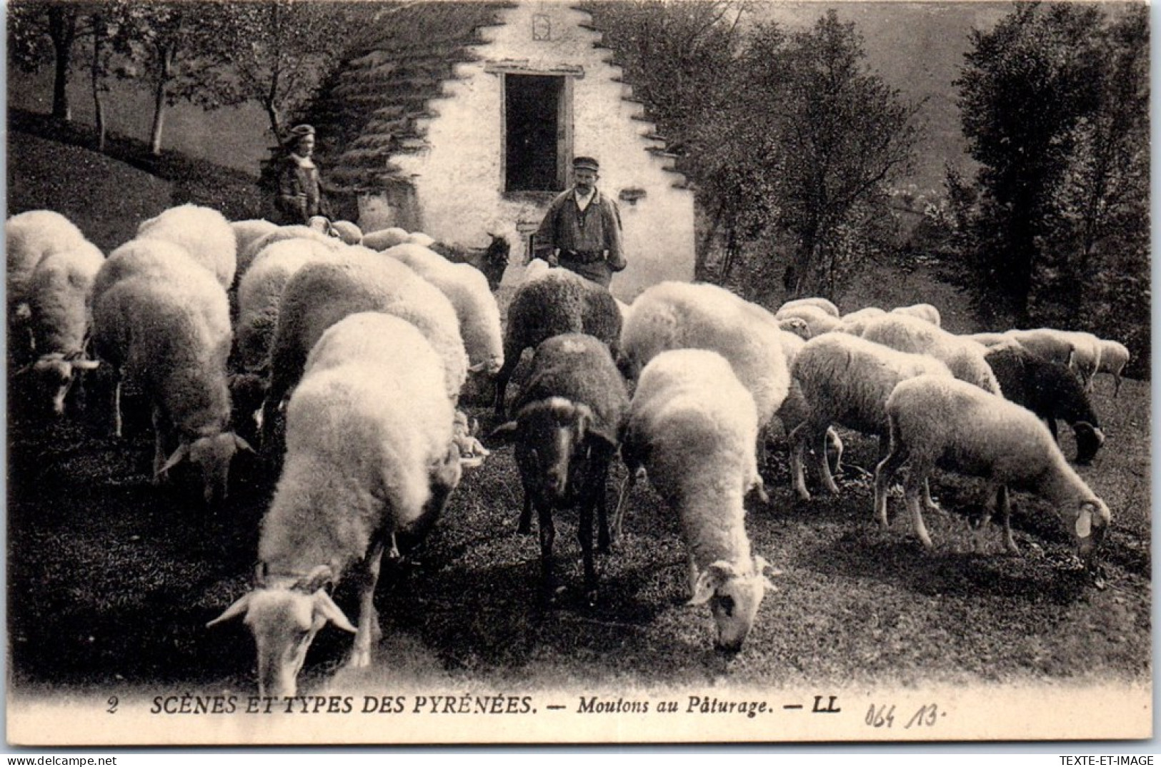 64 Scenes & Types Des Pyrenees - Moutons Au Paturage. - Other & Unclassified