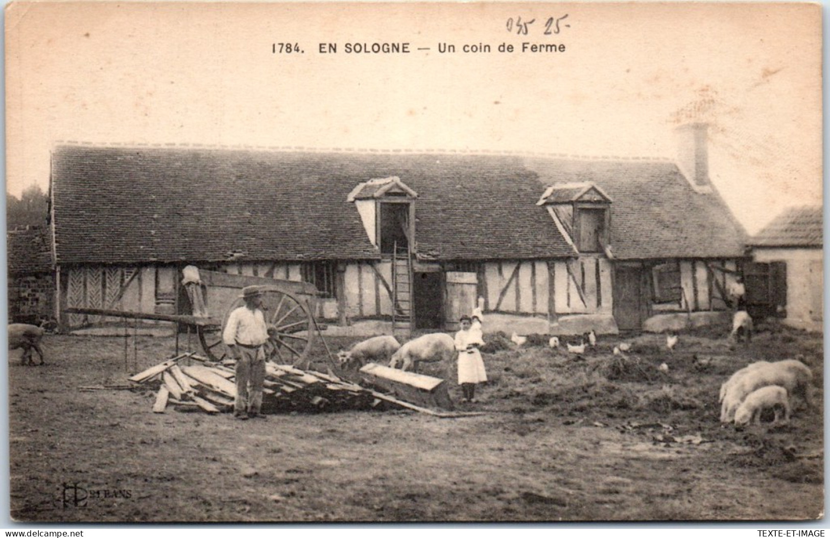 45 En Sologne - Un Coin De La Ferme  - Other & Unclassified