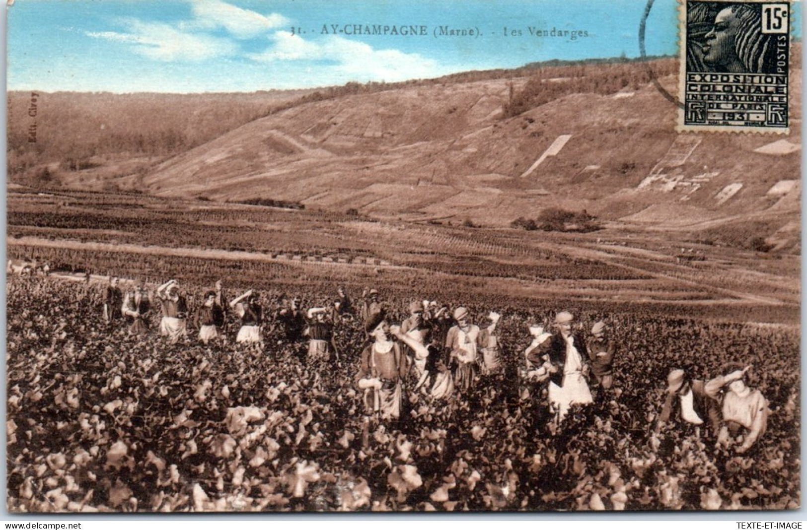 51 AY - Les Vendanges  - Ay En Champagne