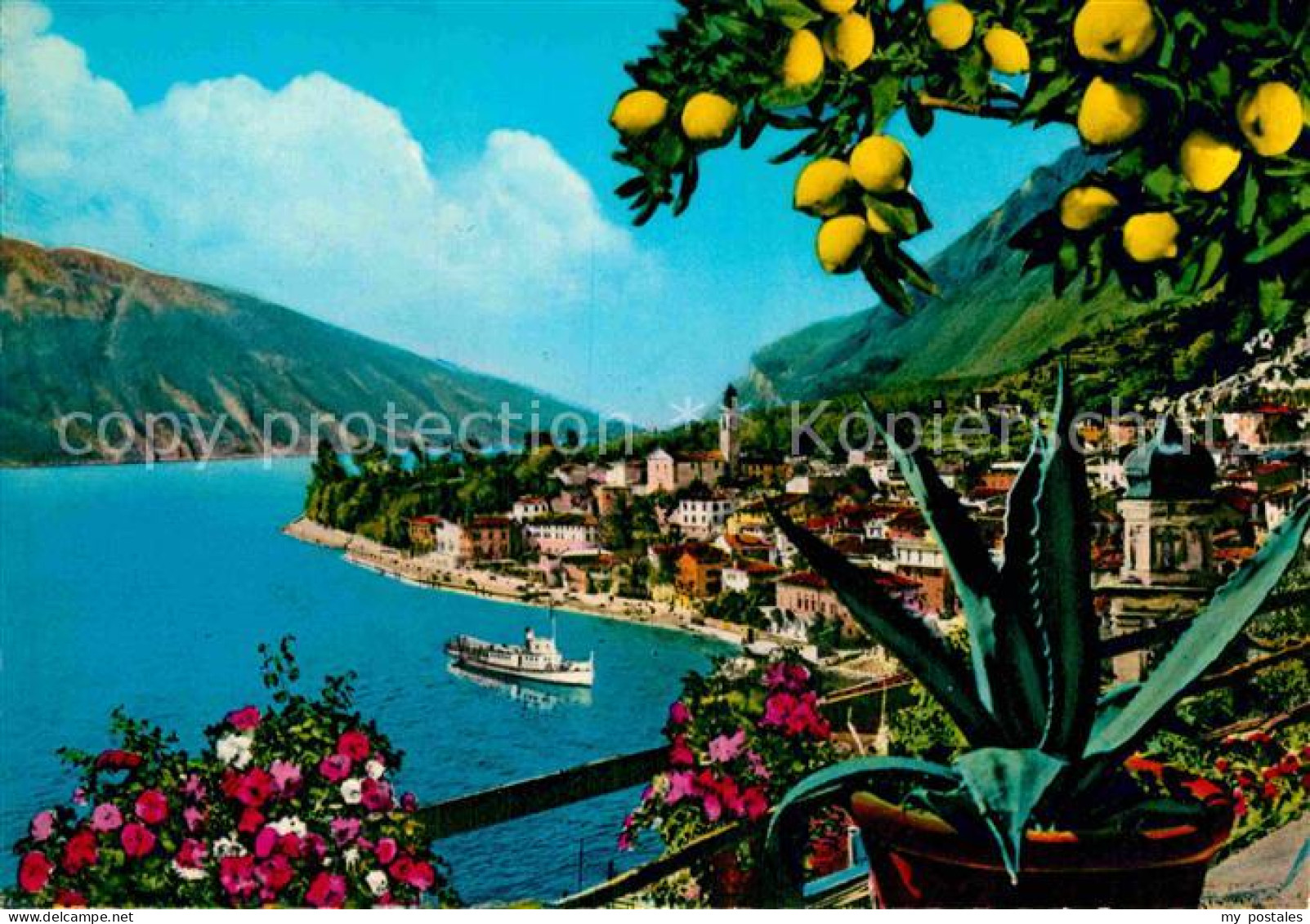 72904538 Limone Sul Garda Panorama Gardasee Zitronenbaum Kaktus Limone Sul Garda - Other & Unclassified