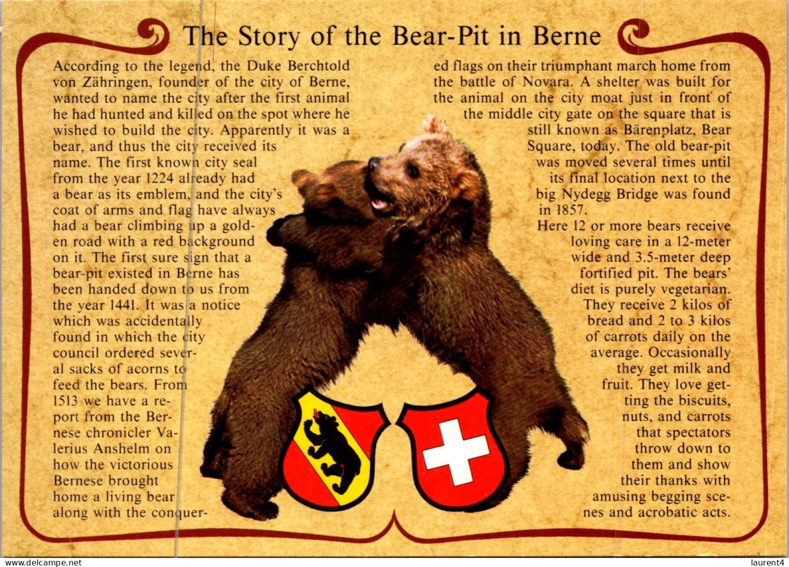 12-5-2024 (4 Z 50)  Bear Pit In Berne (Suisse) - Bären
