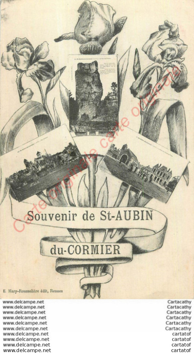 35.  Souvenir De SAINT-AUBIN Du CORMIER . - Autres & Non Classés