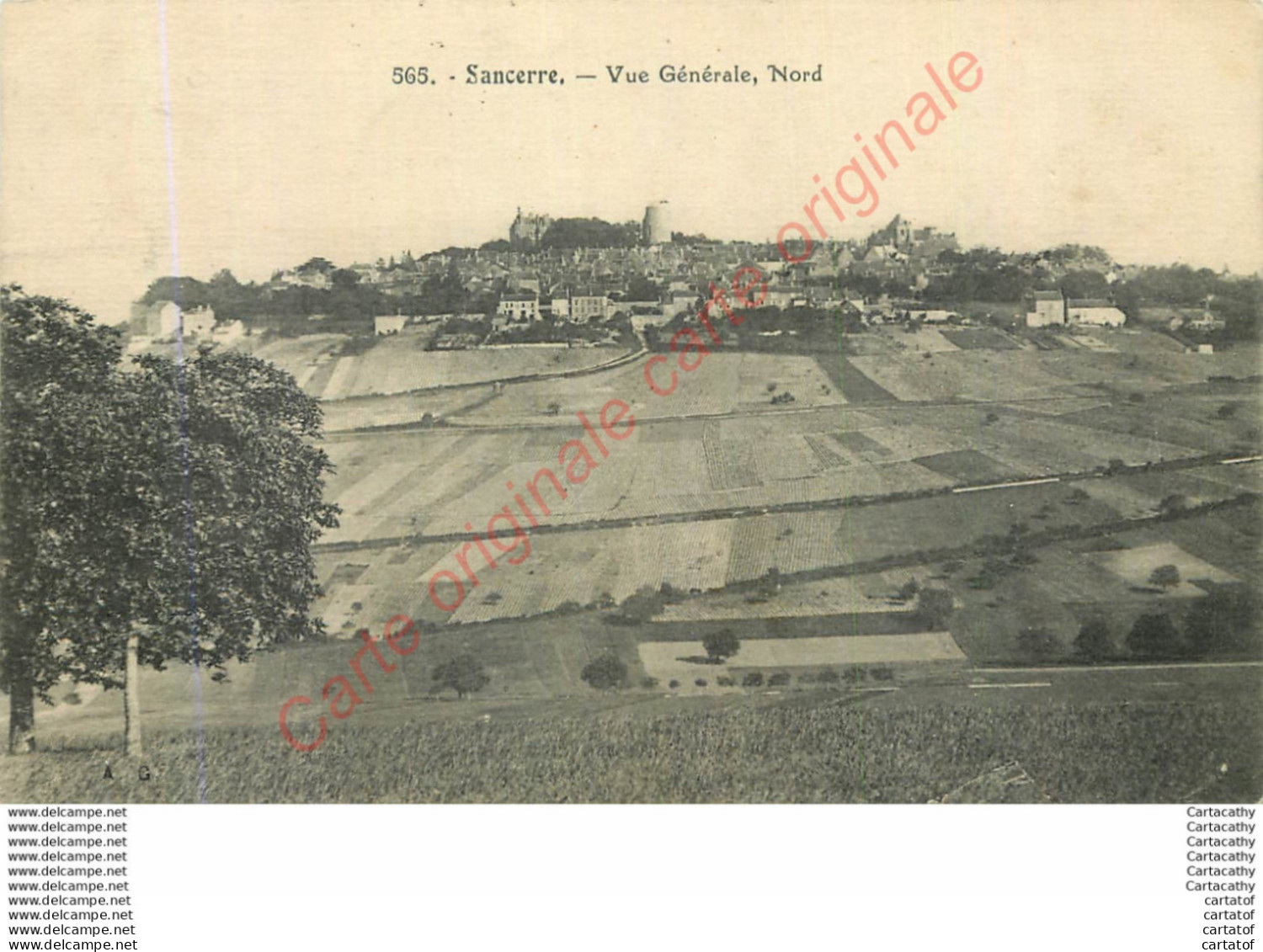 18.  SANCERRE .  Vue Générale Nord . - Sancerre