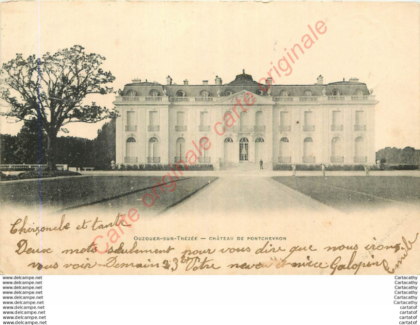 45.  OUZOUER SUR THEZEE .  Château De Pontchevron . - Ouzouer Sur Loire