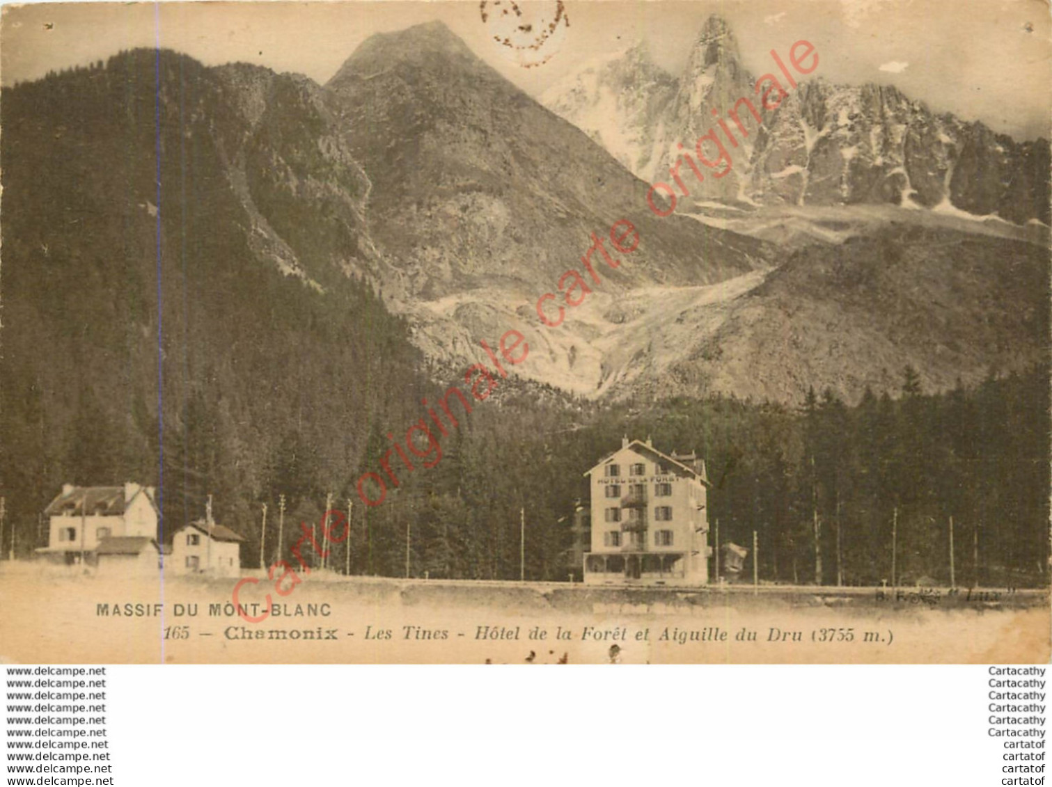 74. CHAMONIX .  Les Tines . Hôtel De La Forêt Et Aiguille Du Dru . - Chamonix-Mont-Blanc