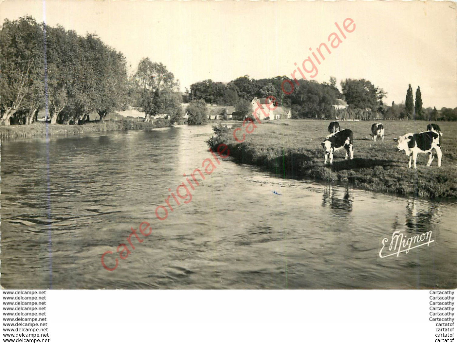 27.  PACY Sur EURE .  Ses Environs . Les Bords De L'Eure . - Pacy-sur-Eure