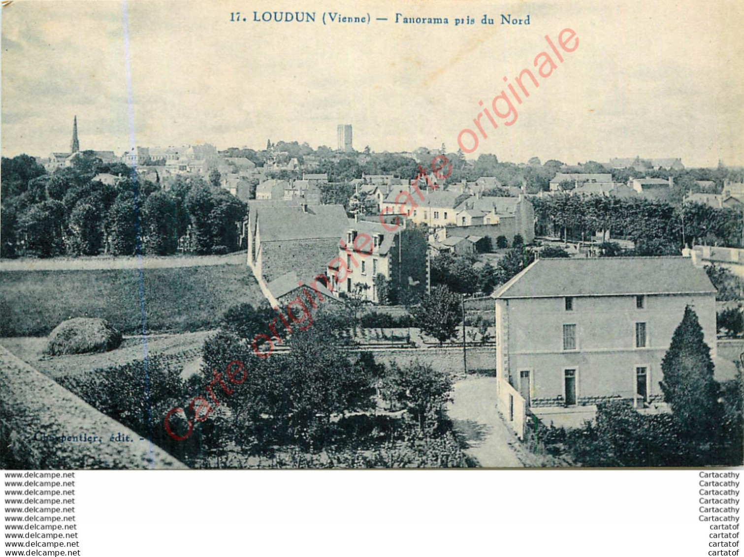 86.  LOUDUN .  Panorama Pris Du Nord . - Loudun