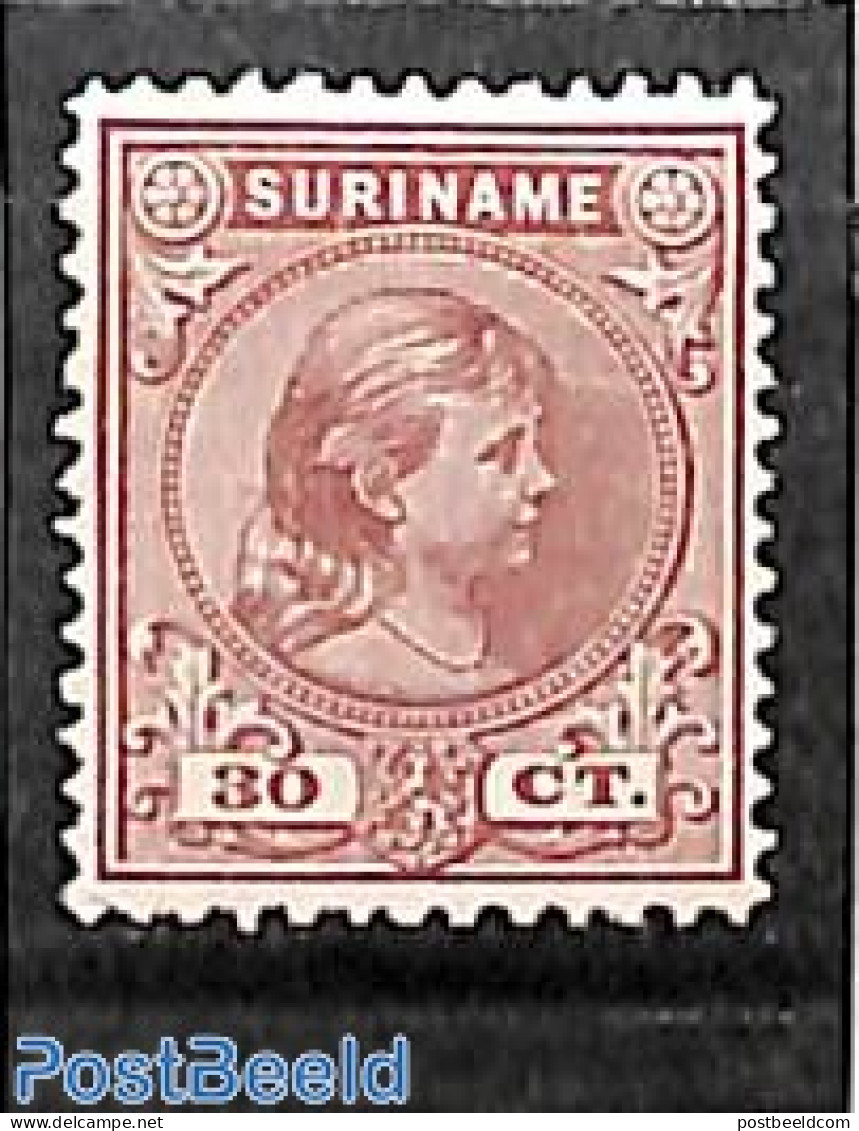 Suriname, Colony 1892 30c, Stamp Out Of Set, Unused (hinged) - Altri & Non Classificati
