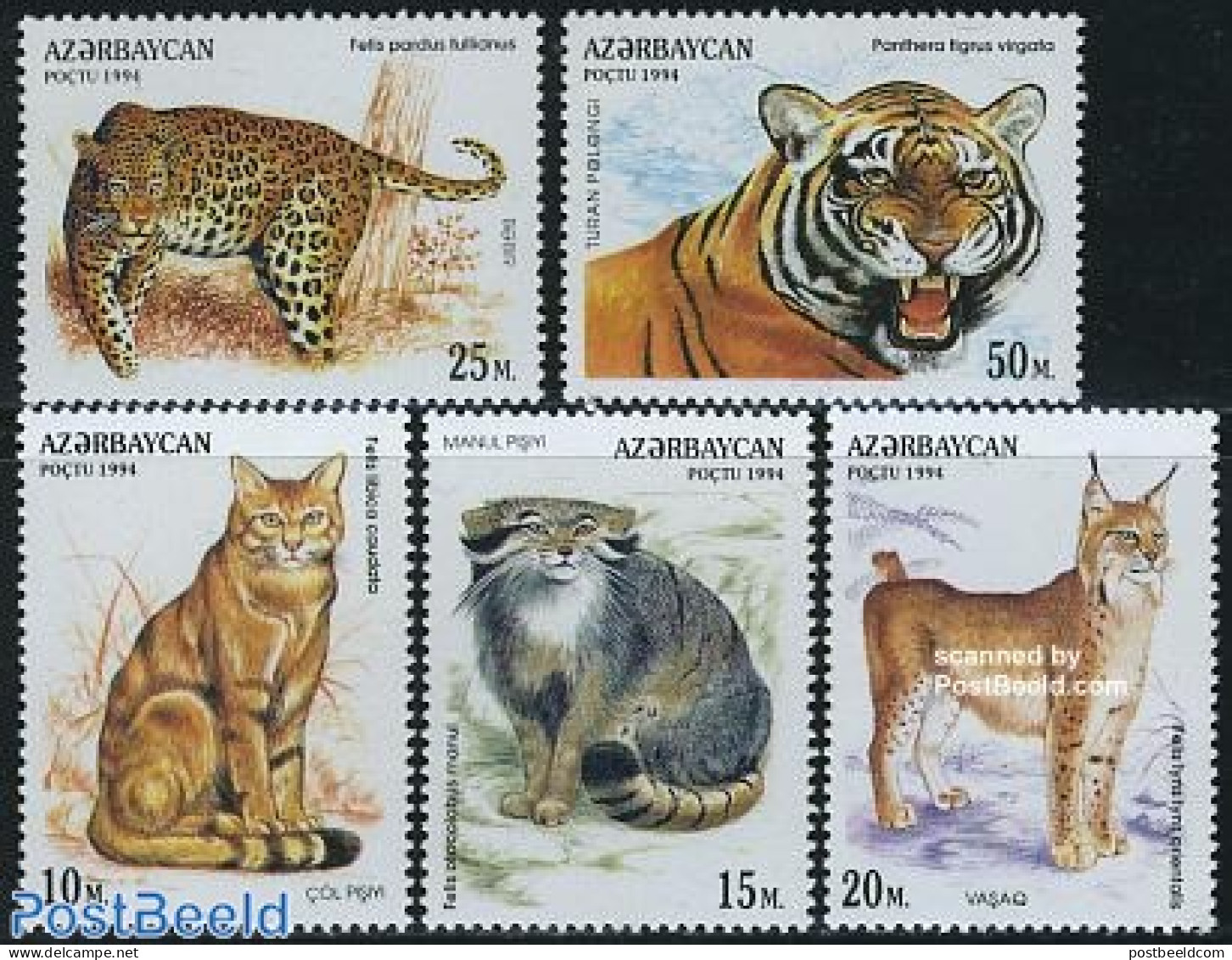 Azerbaijan 1994 Cats 5v, Mint NH, Nature - Animals (others & Mixed) - Cat Family - Cats - Otros & Sin Clasificación