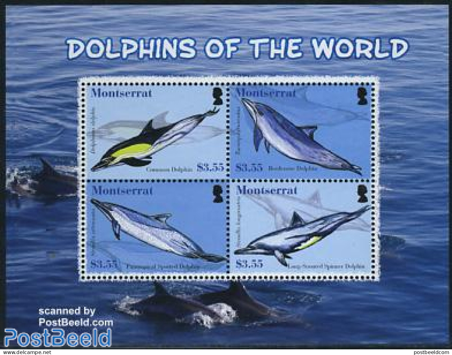 Montserrat 2008 Dolphins 4v M/s, Mint NH, Nature - Sea Mammals - Other & Unclassified