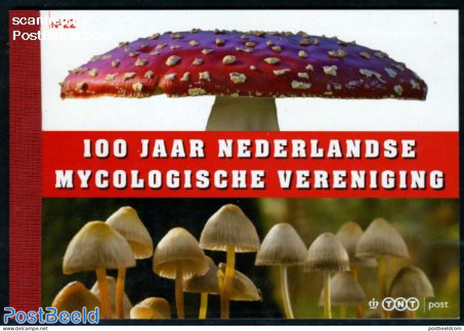 Netherlands 2008 Mushrooms Prestige Booklet 22, Mint NH, Nature - Mushrooms - Stamp Booklets - Unused Stamps