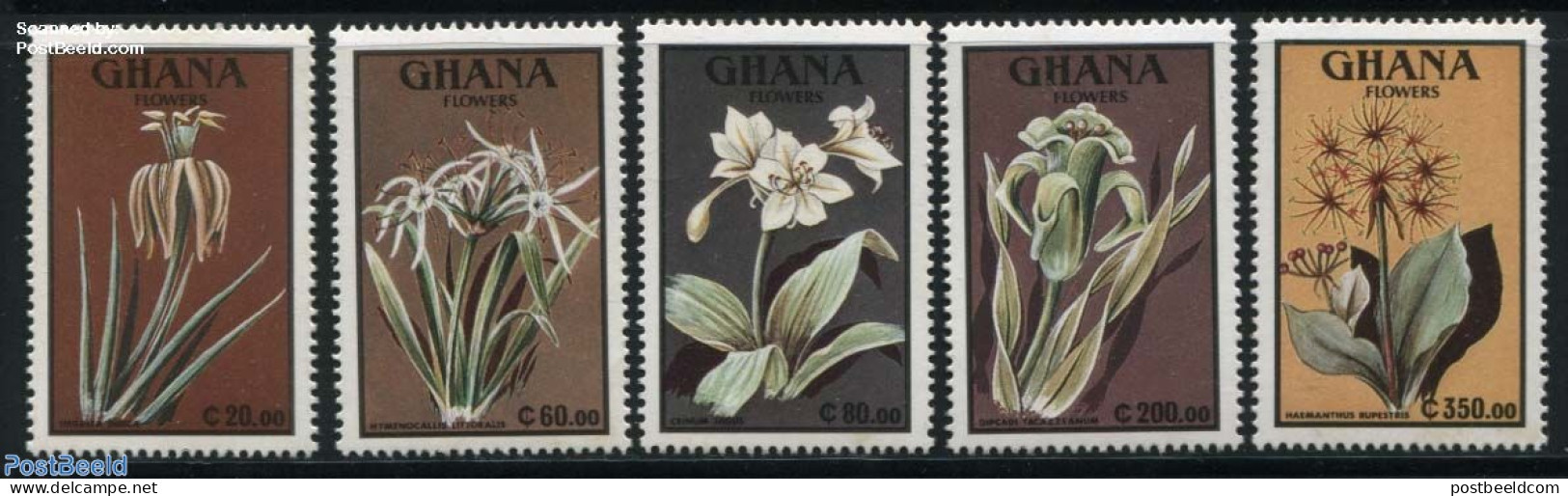 Ghana 1991 Flowers 5v, Mint NH, Nature - Flowers & Plants - Autres & Non Classés