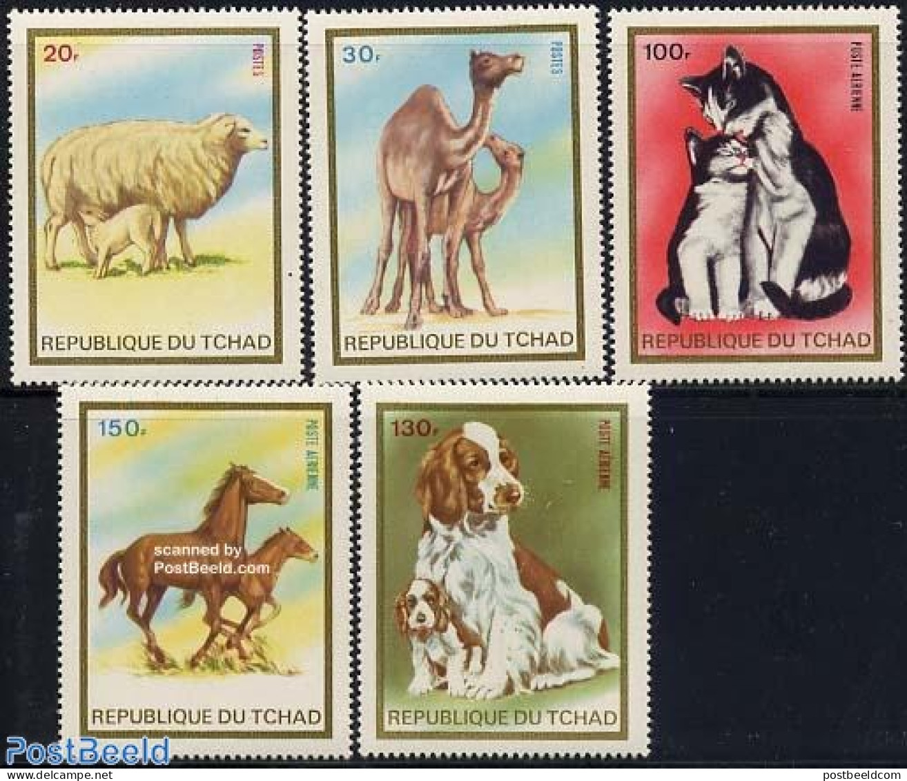 Chad 1973 Domestic Animals 5v, Mint NH, Nature - Animals (others & Mixed) - Camels - Cats - Cattle - Dogs - Horses - Sonstige & Ohne Zuordnung