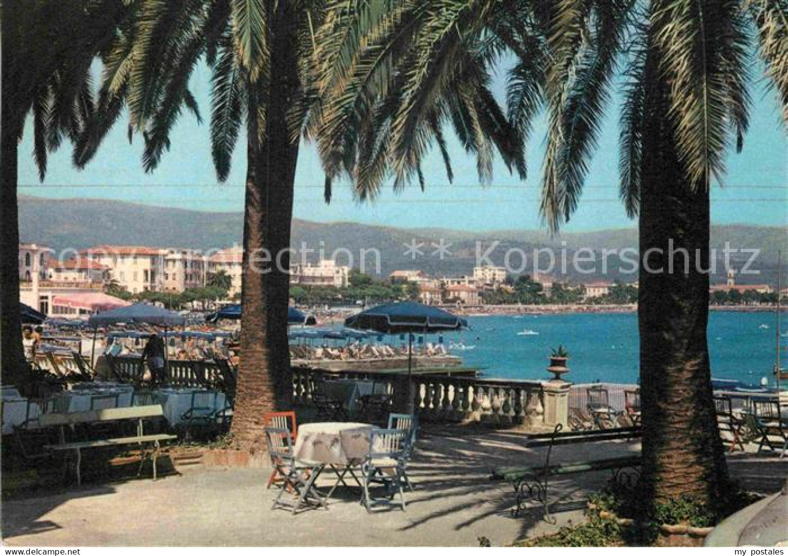 72903660 Diano Marina Oasi Di Sogno Diano Marina - Andere & Zonder Classificatie