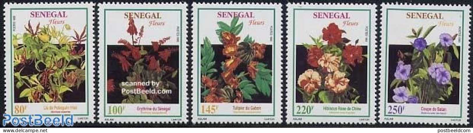 Senegal 1993 Flowers 5v, Mint NH, Nature - Flowers & Plants - Senegal (1960-...)