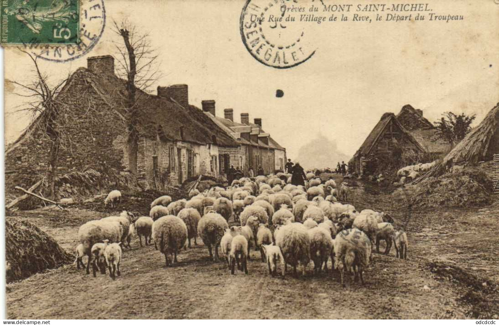 Grèves Du MONT SAINT MICHEL  Rue Du Village De La Rive ,le Depart Du Troupeau RV - Le Mont Saint Michel