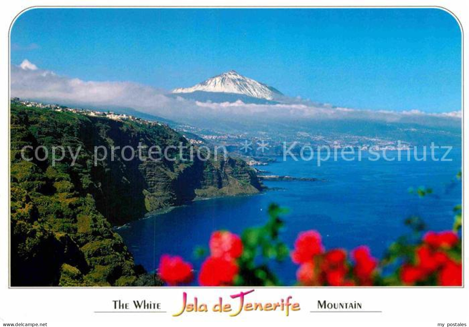 72903386 Puerto De La Cruz Panorama Mit Berg Teide Puerto De La Cruz Tenerife - Autres & Non Classés