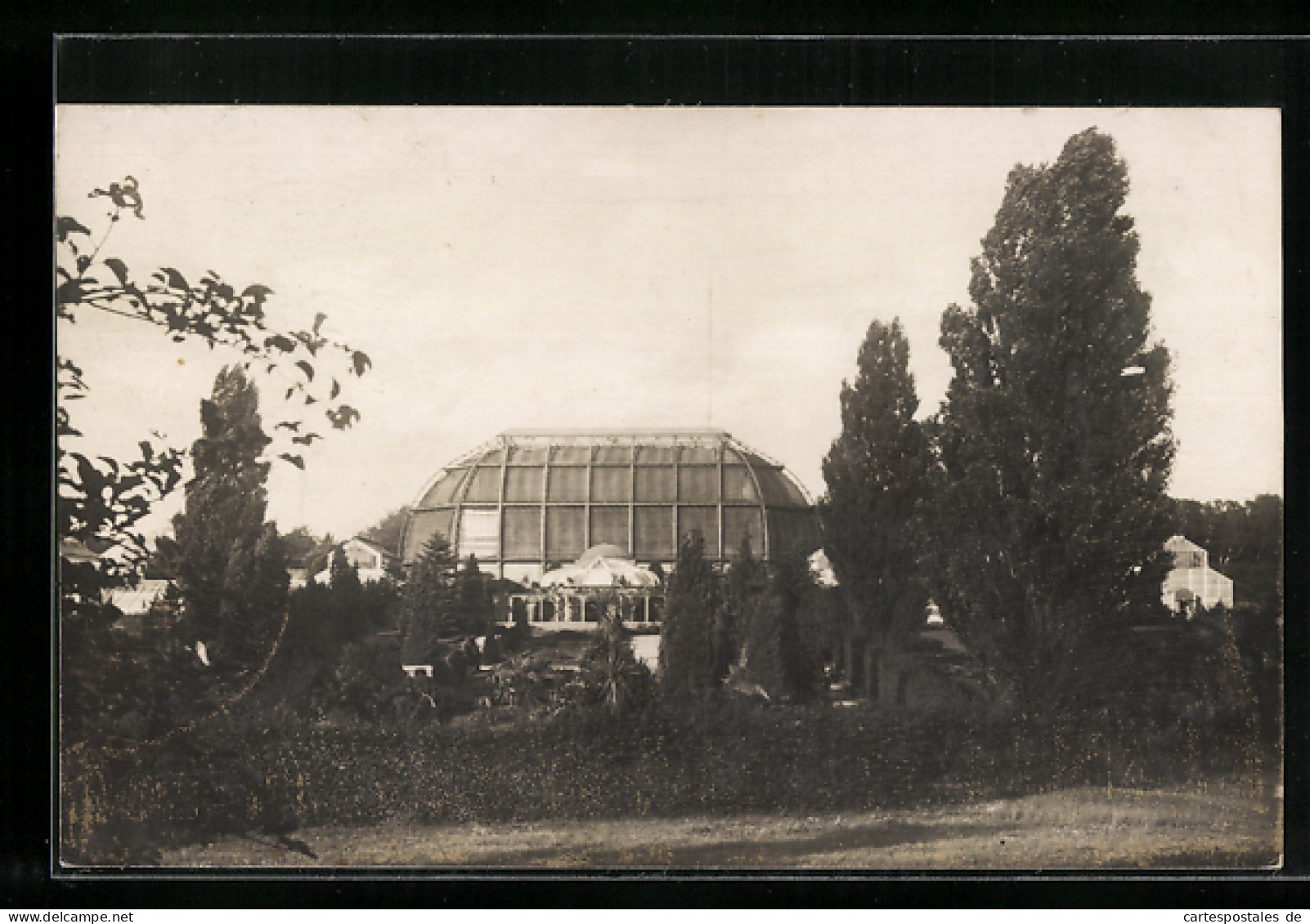 AK Berlin-Dahlem, Botanischer Garten, Italienischer Garten Mit Schauhäusern  - Dahlem