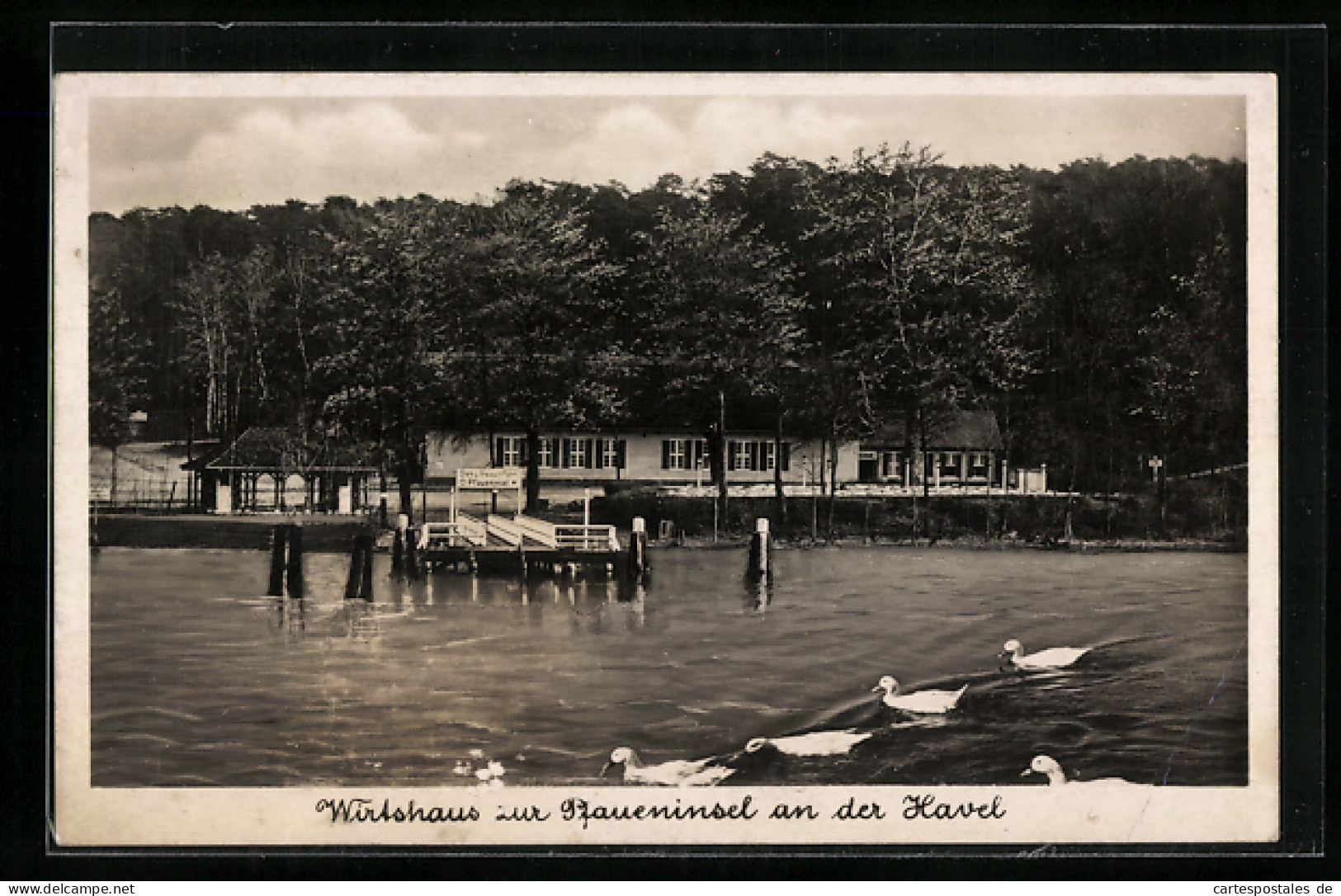 AK Berlin-Wannsee, Pfaueninsel, Wirtshaus Zur Pfaueninsel, Inh. A. Prinz  - Wannsee