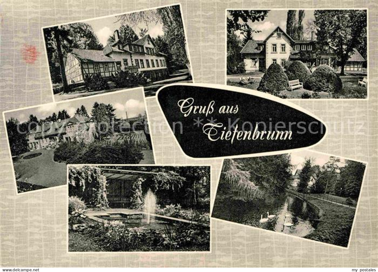 72902734 Tiefenbrunn Goettingen Schwanenteich Kurgarten Kurhaus  Tiefenbrunn Goe - Autres & Non Classés