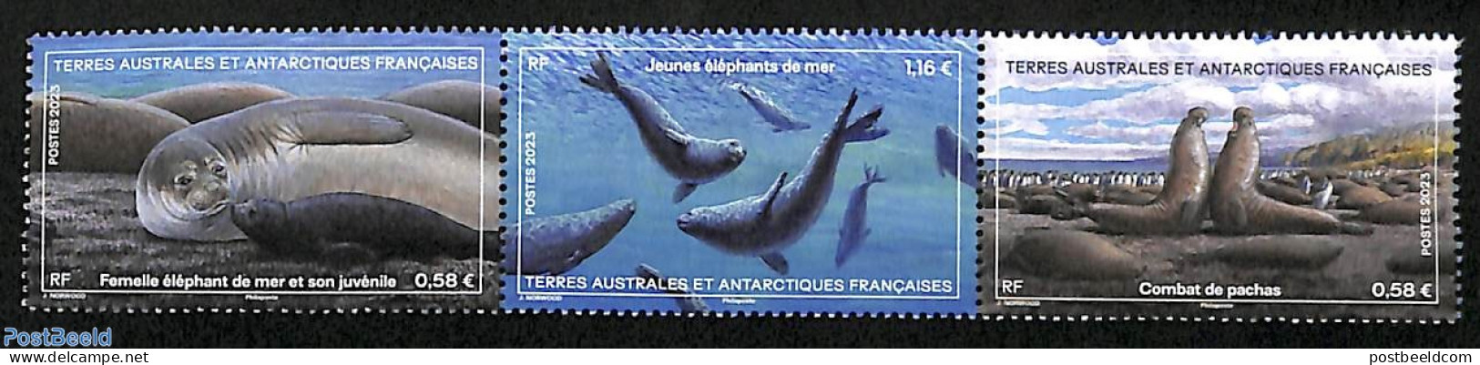 French Antarctic Territory 2023 Sea Elephant 3v [::], Mint NH, Nature - Sea Mammals - Ongebruikt