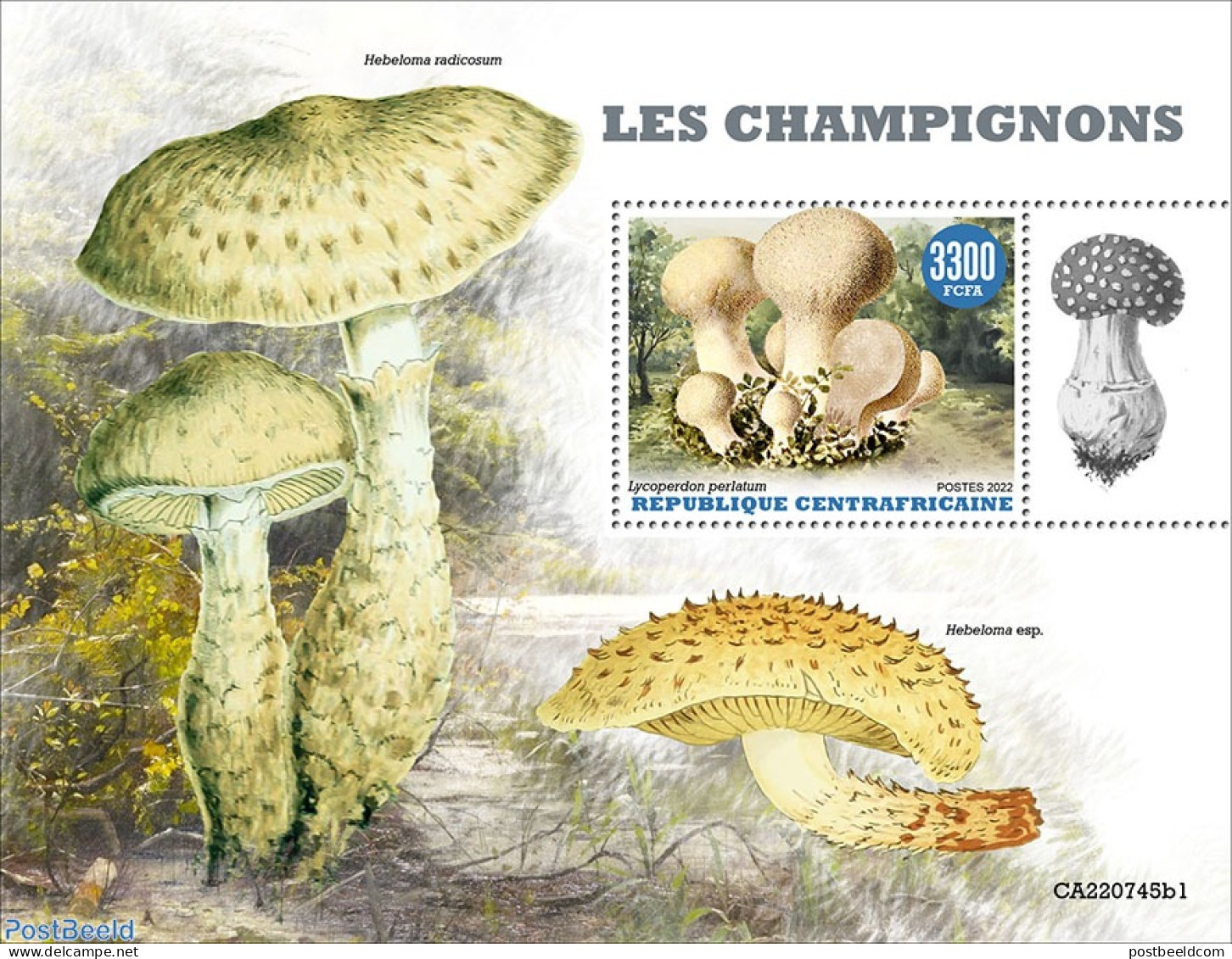 Central Africa 2022 Mushrooms, Mint NH, Nature - Mushrooms - Pilze