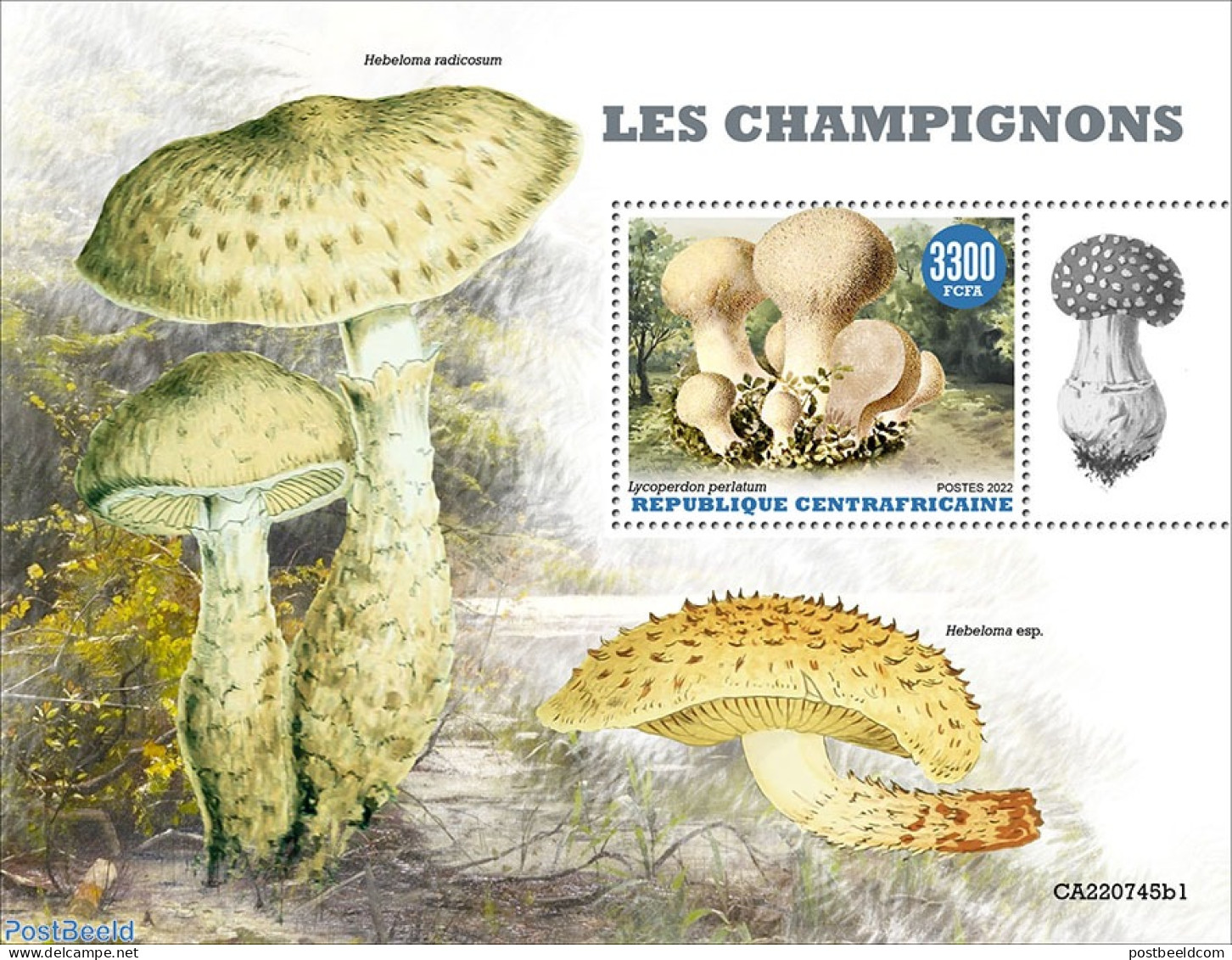 Central Africa 2022 Mushrooms, Mint NH, Nature - Mushrooms - Mushrooms