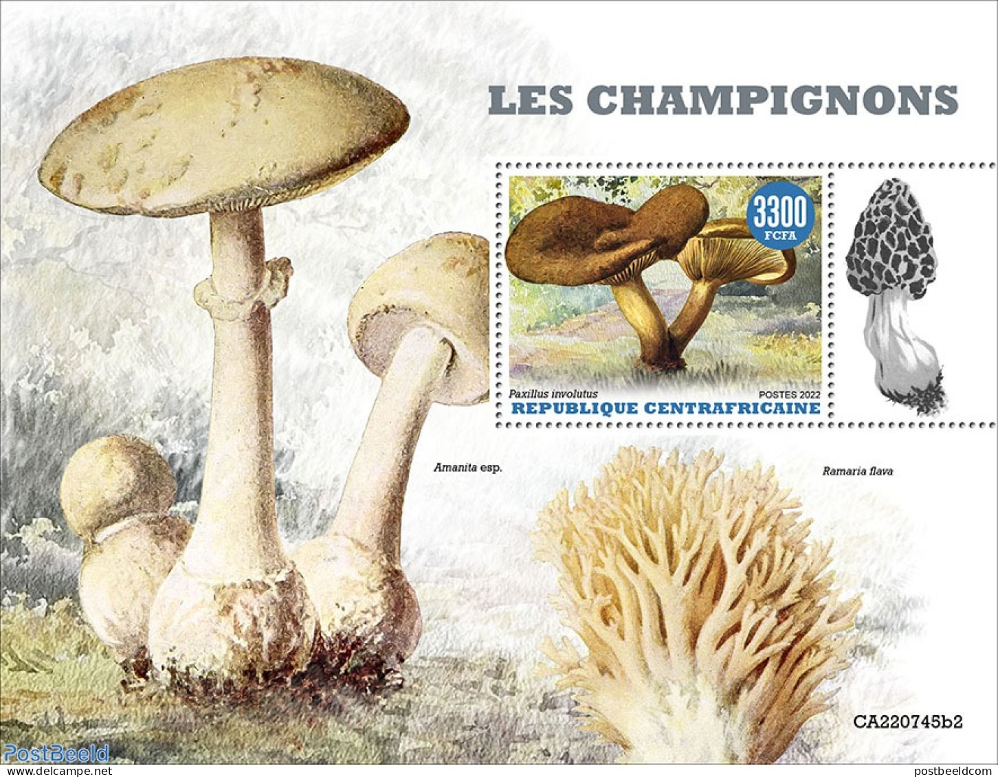 Central Africa 2022 Mushrooms, Mint NH, Nature - Mushrooms - Mushrooms