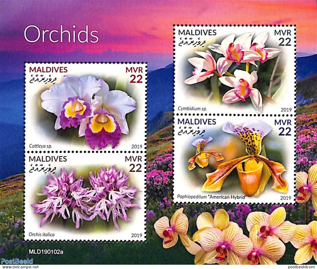 Maldives 2019 Orchids 4v M/s, Mint NH, Nature - Flowers & Plants - Orchids - Maldives (1965-...)