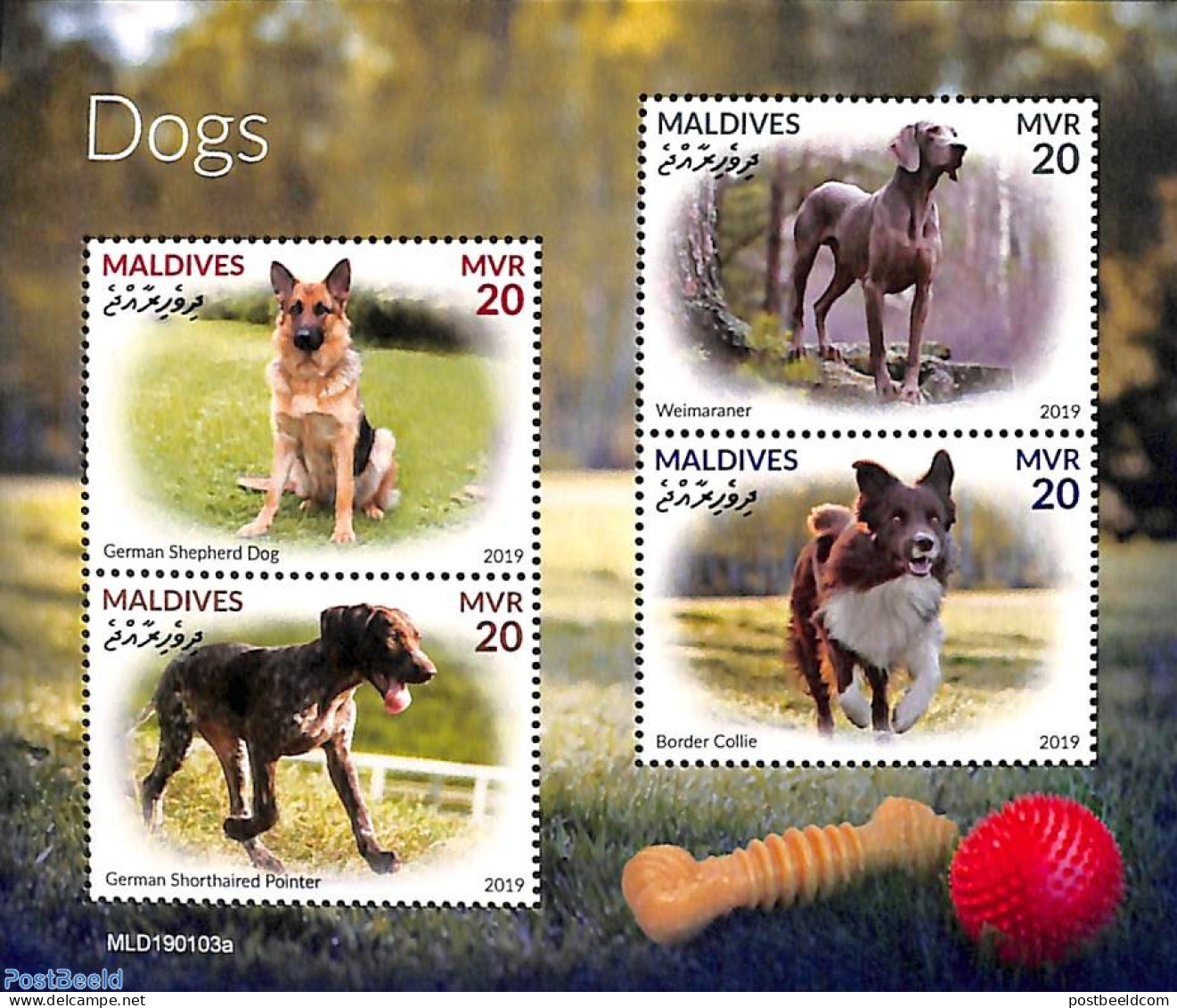 Maldives 2019 Dogs 4v M/s, Mint NH, Nature - Dogs - Maldives (1965-...)