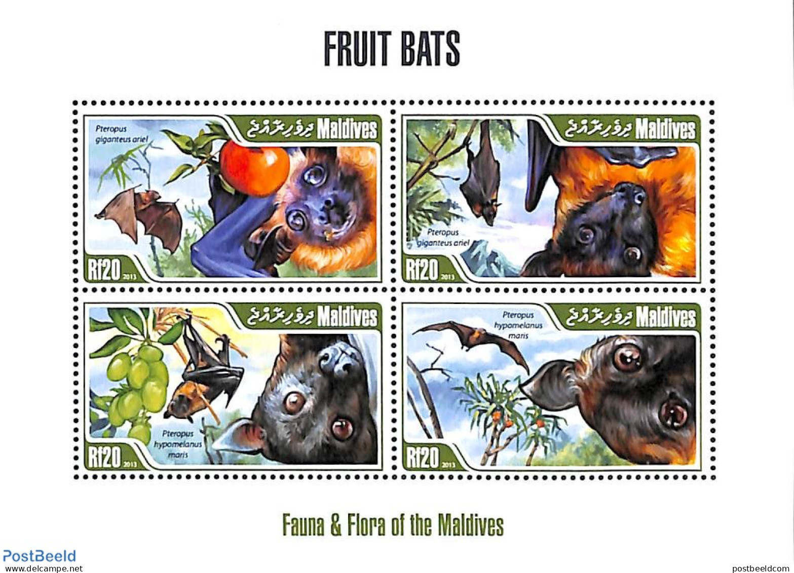 Maldives 2013 Fruit Bats 4v M/s, Mint NH, Nature - Bats - Maldivas (1965-...)