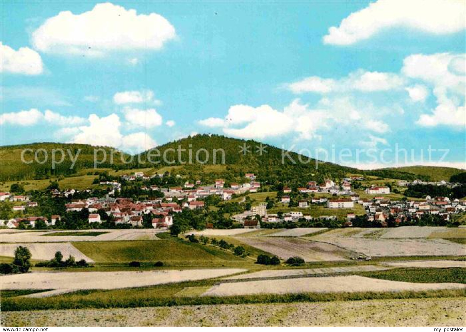 72901984 Niedenstein Panorama Niedenstein - Autres & Non Classés