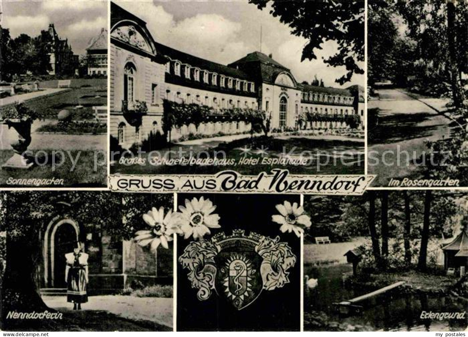 72901241 Bad Nenndorf Schwefelbadehaus Hotel Esplanade Erlengrund Nenndorferin   - Bad Nenndorf