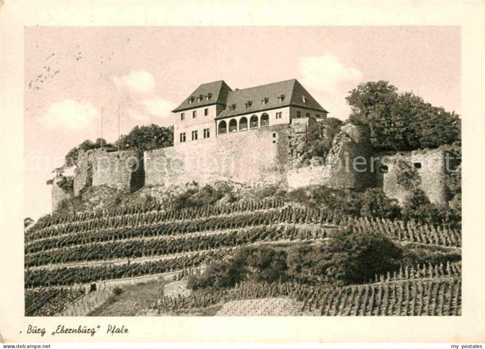 72901199 Ebernburg Burg Ebernburg  Ebernburg - Autres & Non Classés