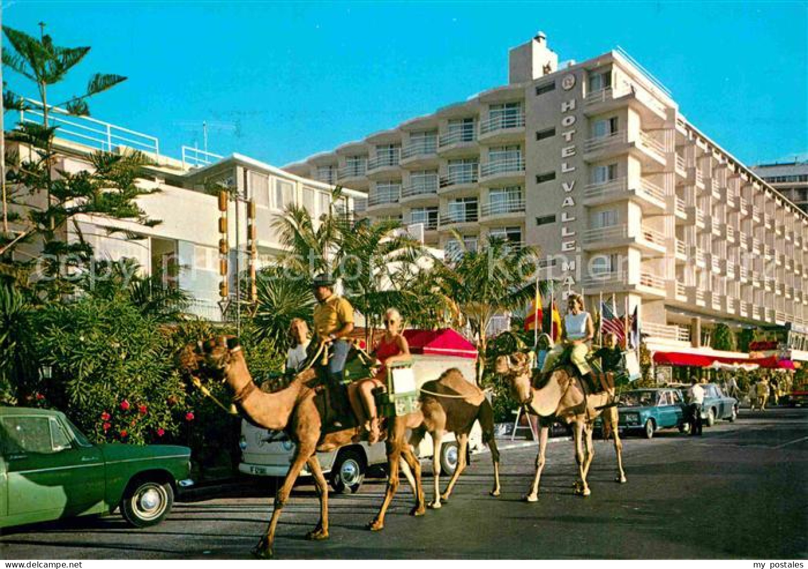 72901036 Puerto De La Cruz Paseo En Camellos Puerto De La Cruz Tenerife - Other & Unclassified