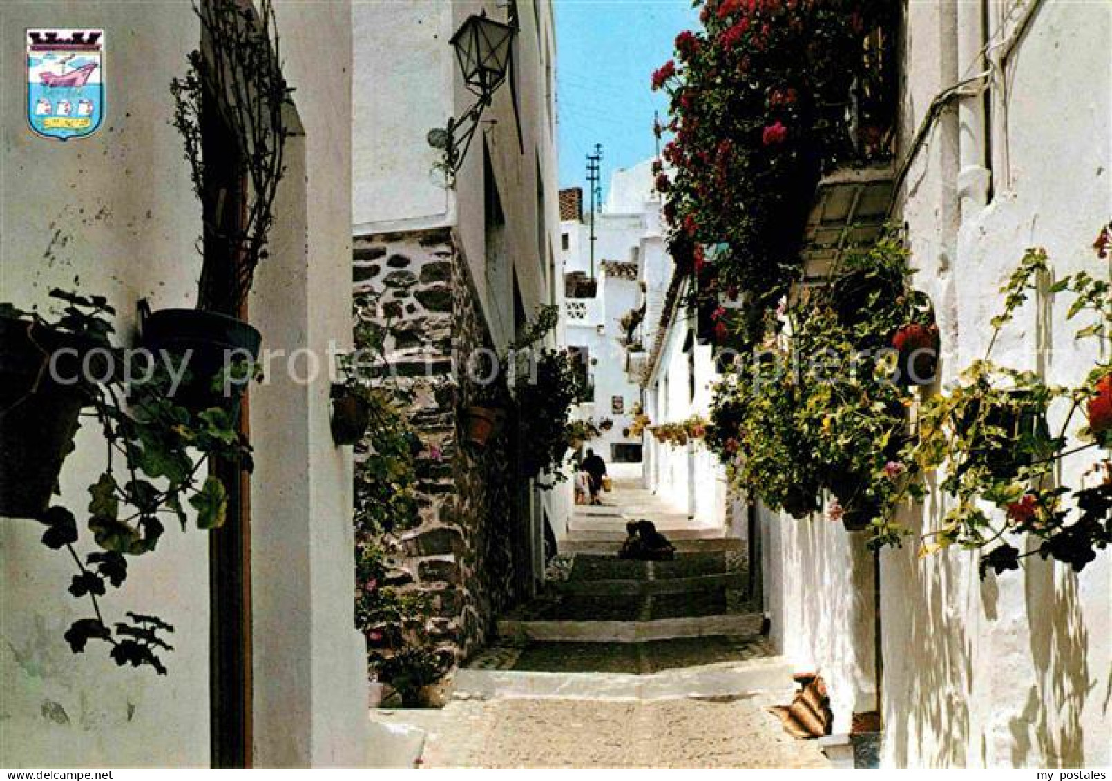 72900785 Granada Andalucia Calle Tipica Granada Andalucia - Other & Unclassified