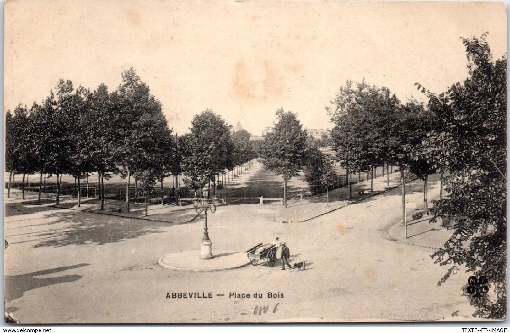 80 ABBEVILLE - Vue De La Place Du Bois  - Abbeville