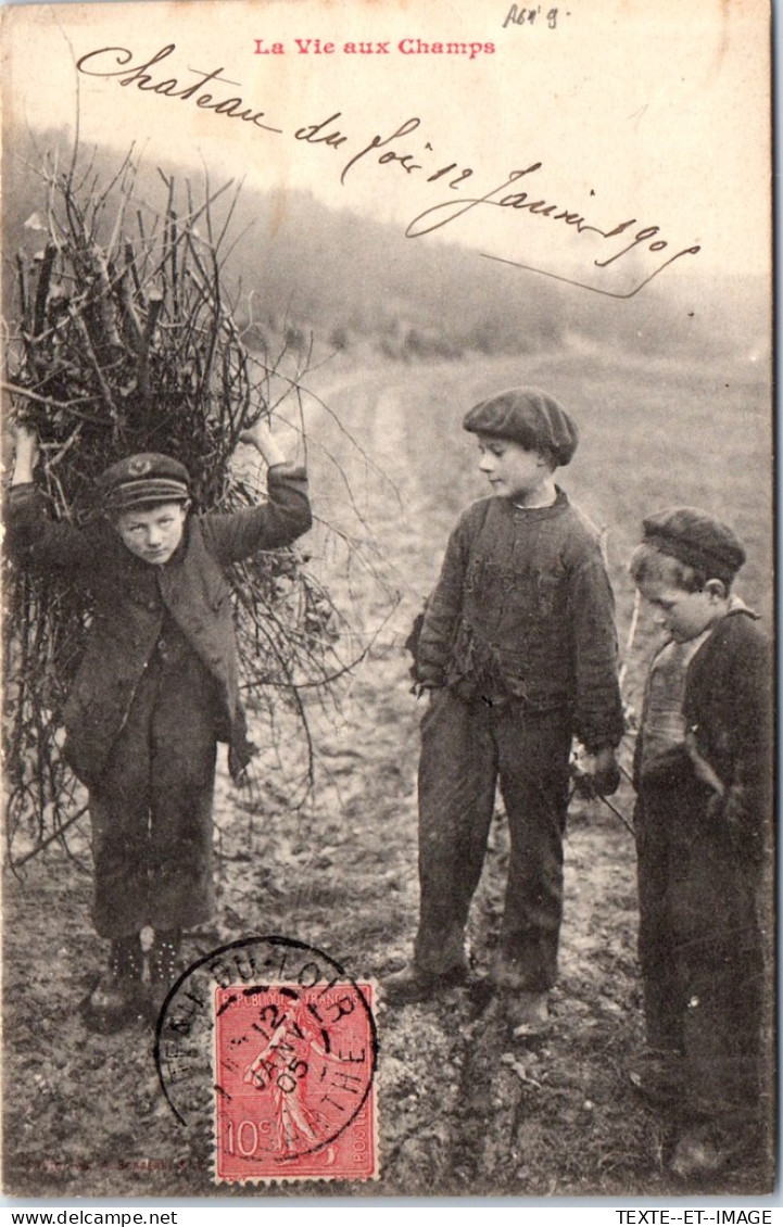 AGRICULTURE - La Vie Aux Champs, Ramassage Des Fagots  - Otros & Sin Clasificación