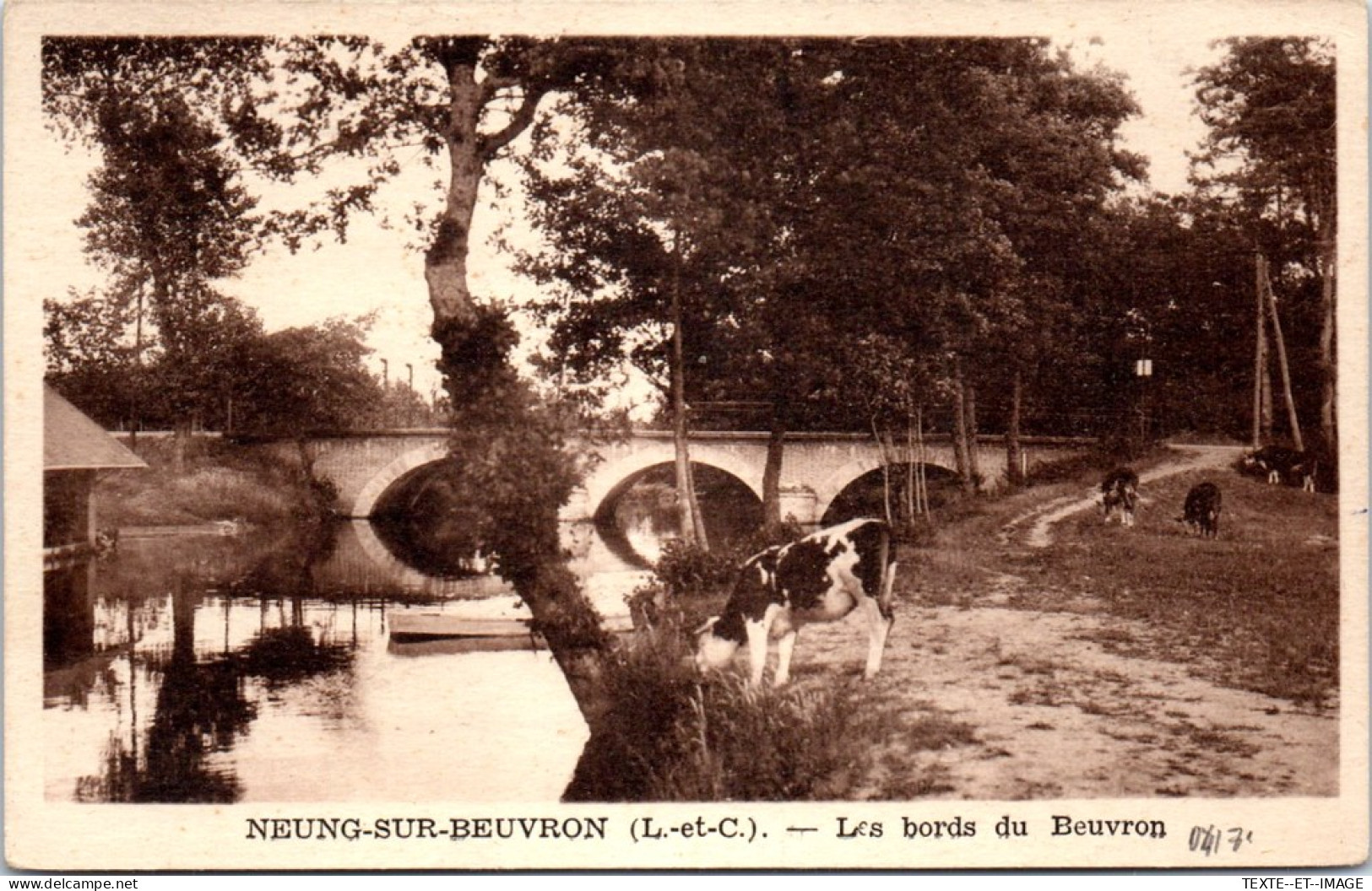 41 NEUNG SUR BEUVRON - Les Bords Du Beuvron  - Neung Sur Beuvron