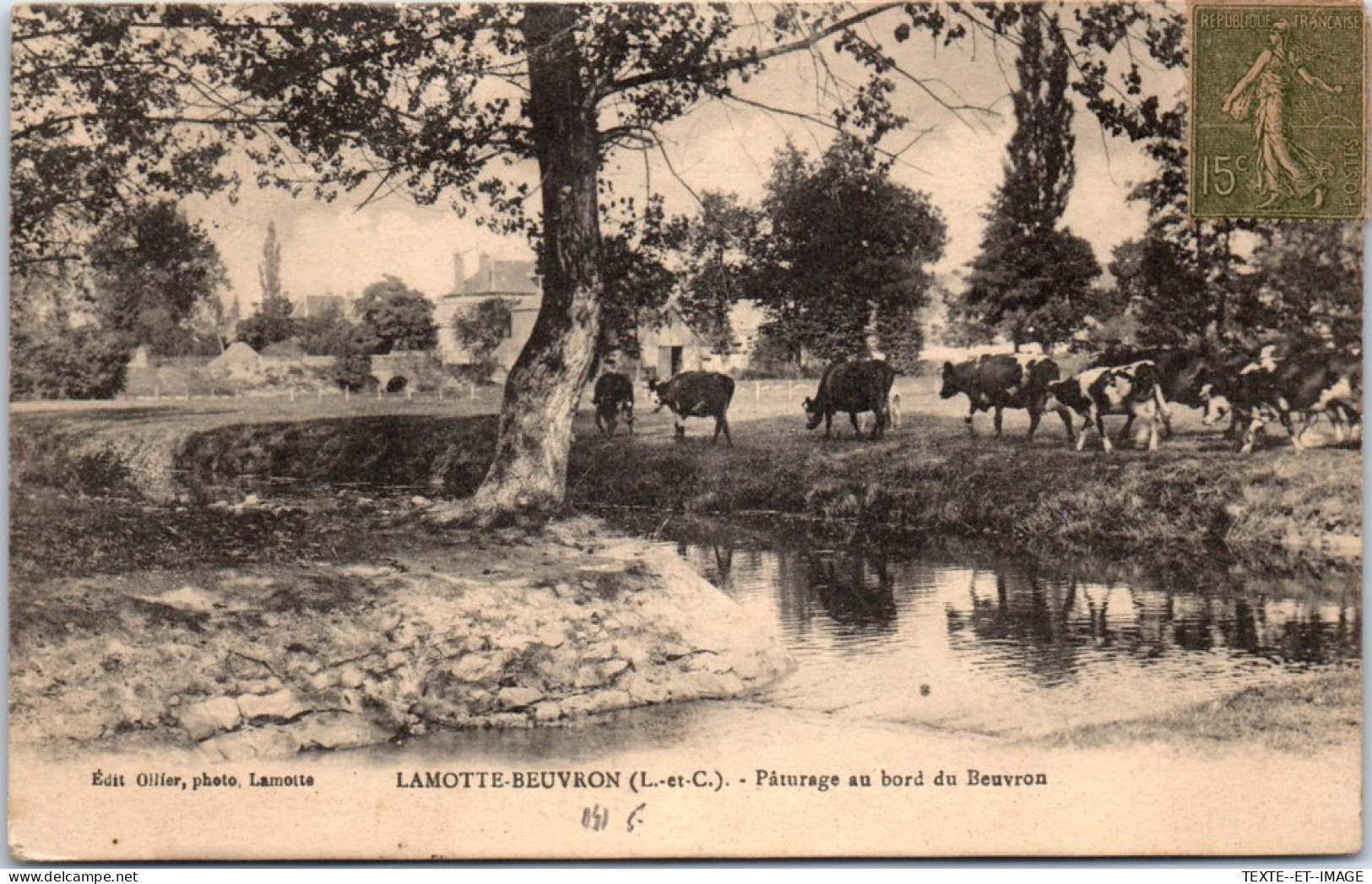 41 LAMOTTE BEUVRON - Paturage Au Bord Du Beuvron  - Lamotte Beuvron