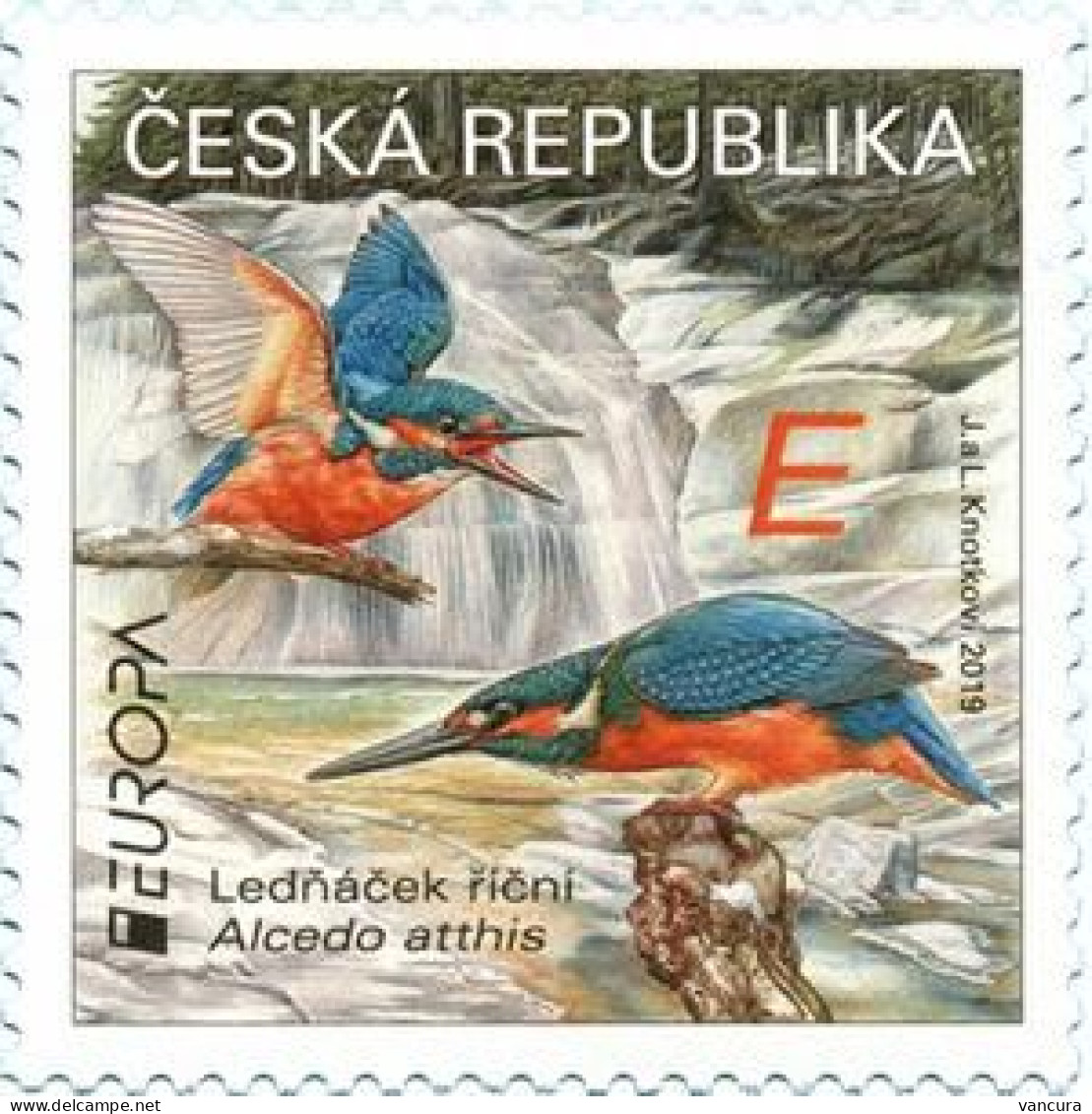 ** 1026 Czech Republic EUROPA Kingfisher 2019 - Nuovi