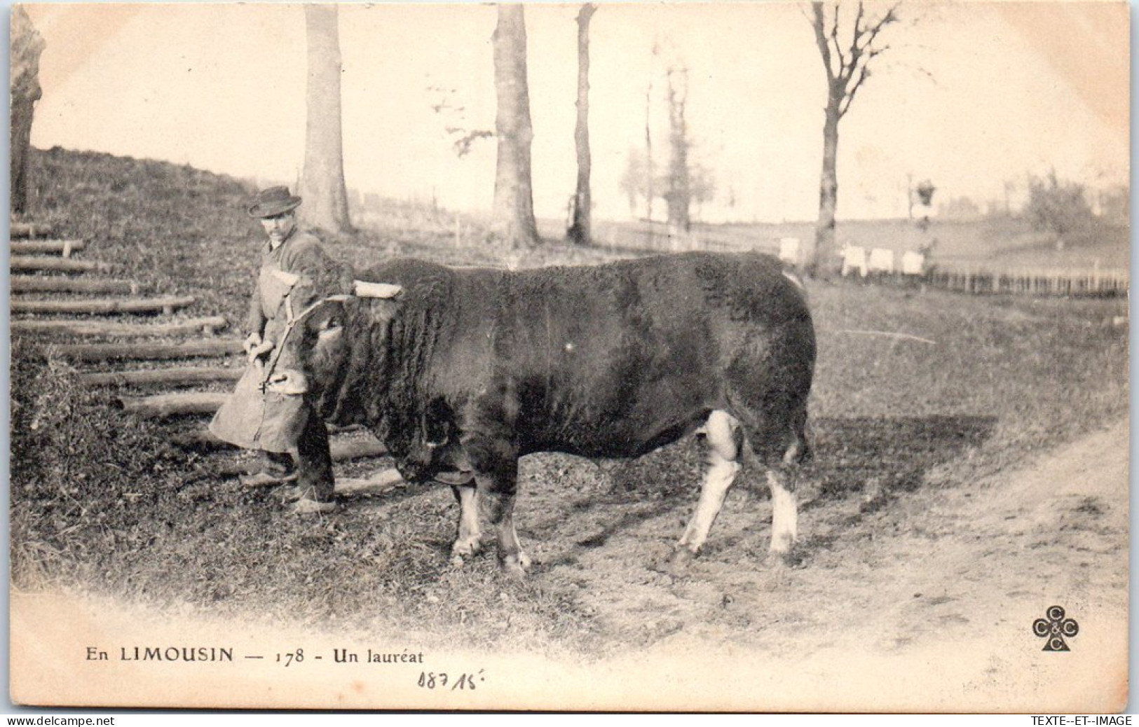 87 En Limousin - Le Laureat (bœuf) - Sonstige & Ohne Zuordnung