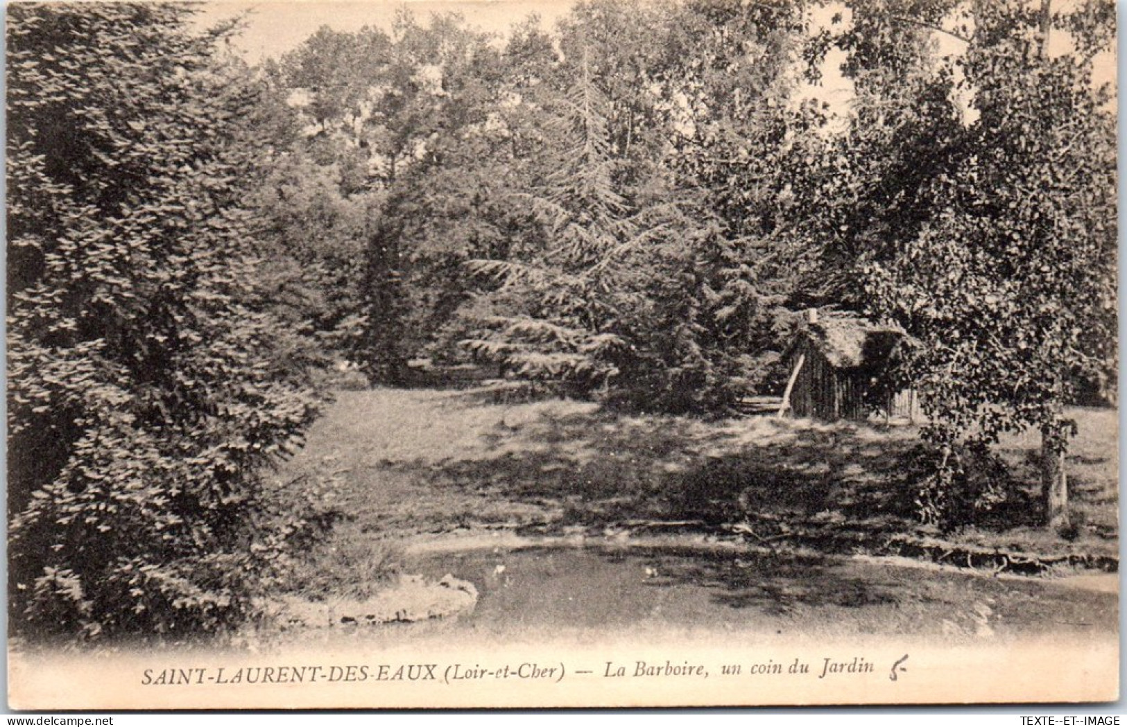 41 SAINT LAURENT DES EAUX - Un Coin Du Jardin De La Barboire  - Other & Unclassified