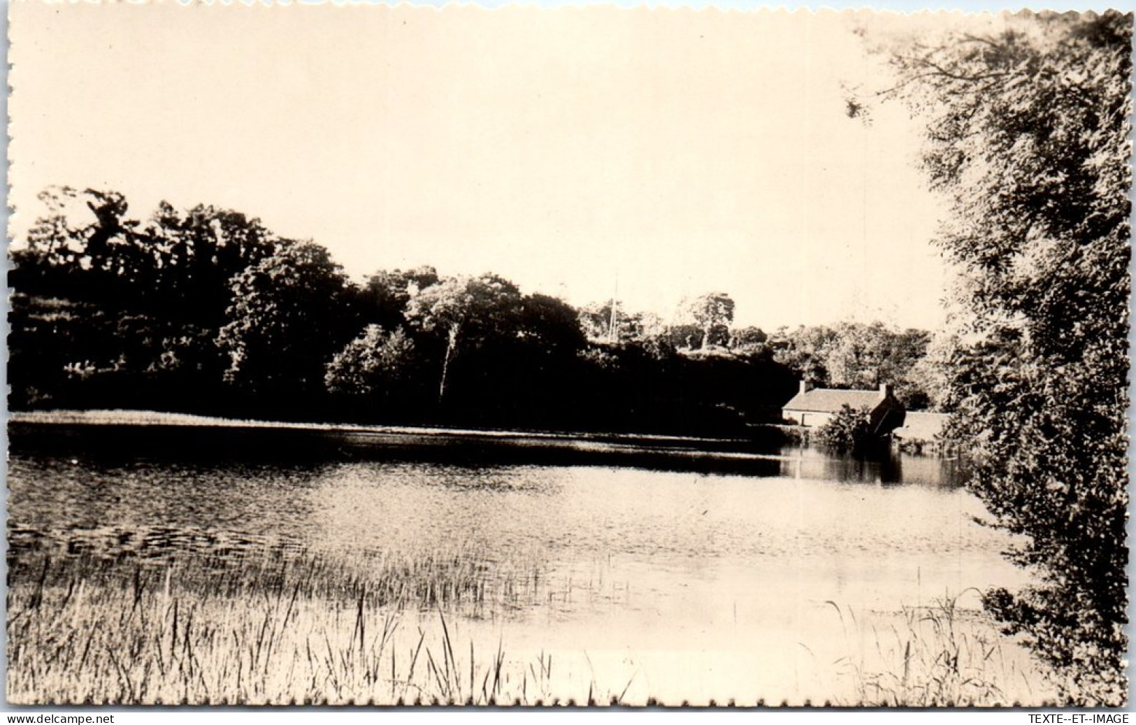 22 QUEMPER GUEZENNEC - L'etang De Kerlouet. - Otros & Sin Clasificación